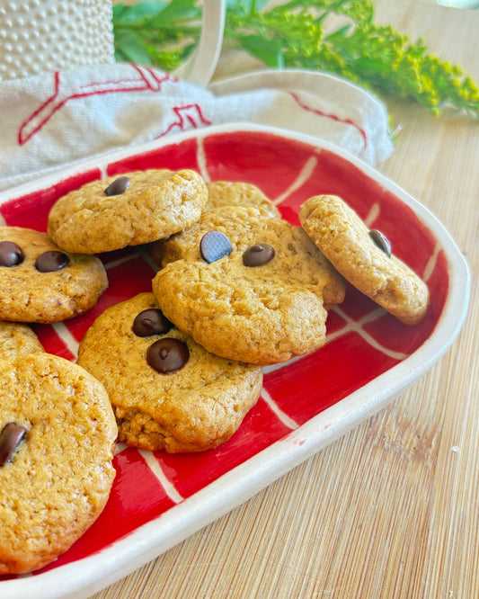 plato de cerámica rayado